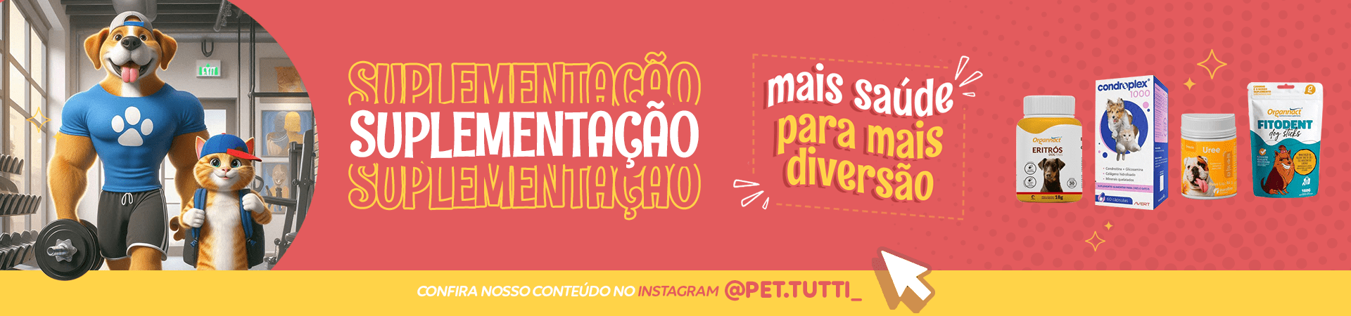 Suplementação