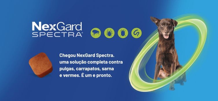 Nexgard Spectra Antipulgas e Vermifugo Cães 7,6 a 15kg 1 Comprimido