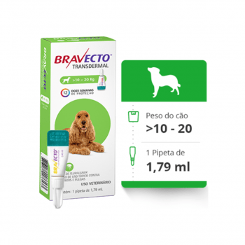 Bravecto Transdermal Cães 10 a 20 kg Pipeta Antipulgas