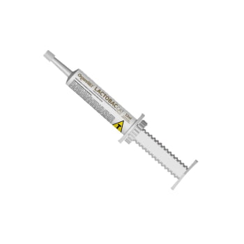 Lactobac Cat Plus 12ml Pasta Probiotico 