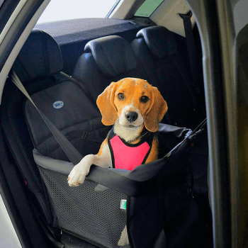 Assento Cadeira Carro Transpet Big One Couro Cães 15kg