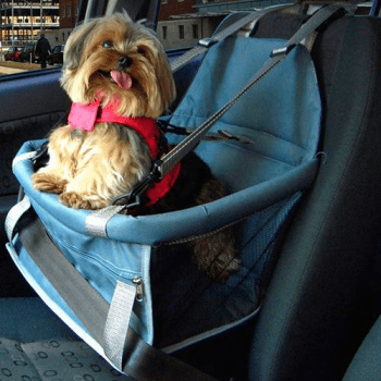 Assento Cadeira Carro Transpet Cães e Gato 10kg Cinza