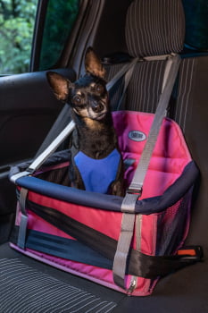Assento Cadeira Carro Transpet Cães e Gato 10kg Rosa e Azul