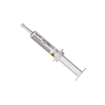 Lactobac Dog Plus 13ml Pasta Probiotico 