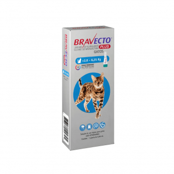 Bravecto Plus Transdermal Gatos 2,8 a 6,2kg Antipulgas e Vermifugo