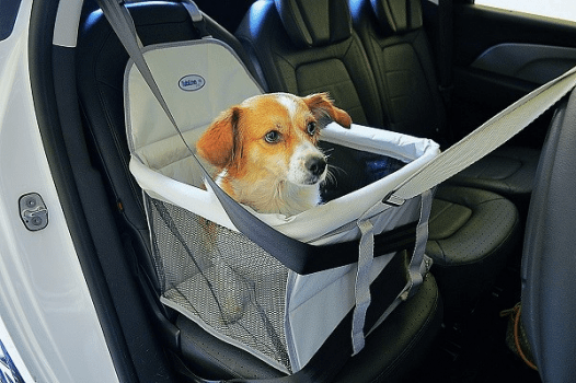 Assento Cadeira Carro Transpet Big Cães 15kg Vermelha e Preta