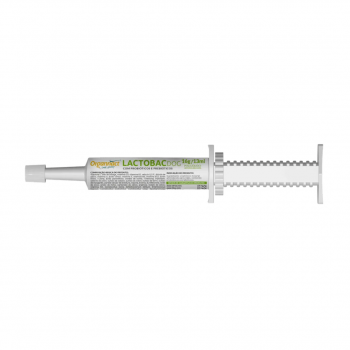 Lactobac Dog 16g / 13ml Probiotico