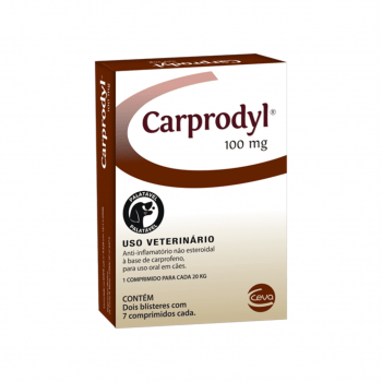 Carprodyl 100 14 comprimidos